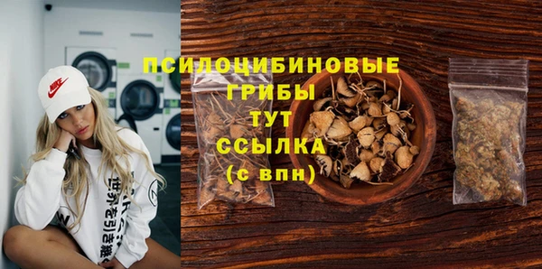 прущие крисы Щёлкино