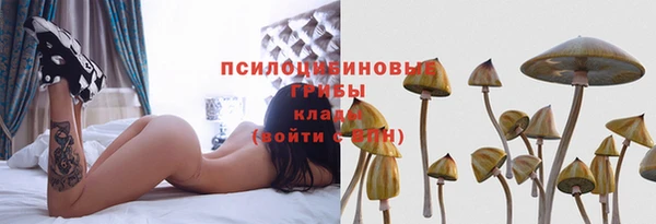 каннабис Белокуриха