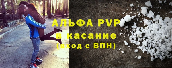 шишки Белоозёрский