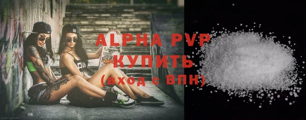 шишки Белоозёрский